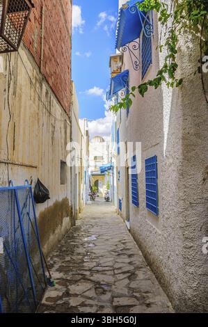 Enge Straße mit weißen Häusern in Hammamet Tunesien Stockfoto