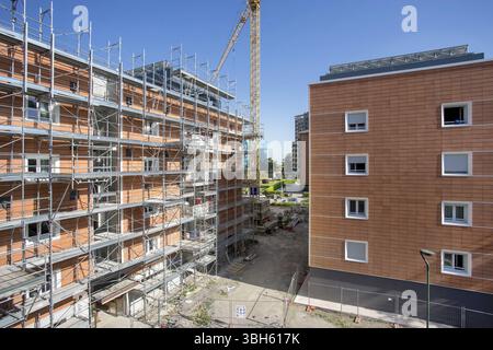 Aufbau des Gehäuses. Baustelle mit Gebäuden im Bau. Turmdrehkrane in Aktion. Kran während der Schalung. Mehrstöckiges Wohnhaus Stockfoto