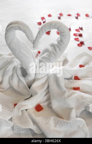 Weiß zwei Handtuch Schwäne auf dem Bett, bestreut mit roten Blütenblättern. Das handtuch aussehen wie Herz und Es ist für die Paare, die in der Honig Mond vorzubereiten. Ideal für selbst Stockfoto