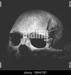 Alter Schädel. Echter menschlicher Schädel auf dunklem Hintergrund. Schwarzer Hintergrund im Vintage-Look Stockfoto