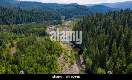 Gifford Pinchot National Forest - 4. Juli 2020: Aus der Vogelperspektive eines Flusses, der durch einen dichten Wald fließt, hebt die natürliche Schönheit der Gegend hervor. Stockfoto