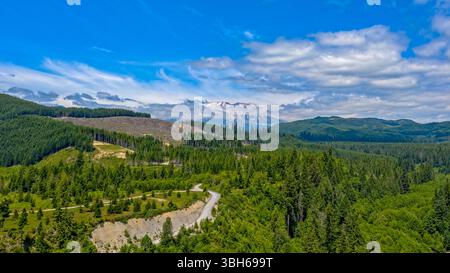 Gifford Pinchot National Forest - 4. Juli 2020: Eine gewundene Straße führt durch üppige Wälder, in der Ferne ist der Mount St. Helens zu sehen. Stockfoto