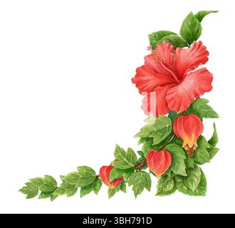 Abucheisenzweig mit roter Hibiskus-Rosenblüte-Sommerecke. Handgezeichnete Aquarelle botanische Kunst. Das grafische Element mit Blumenmuster eignet sich perfekt für Stockfoto