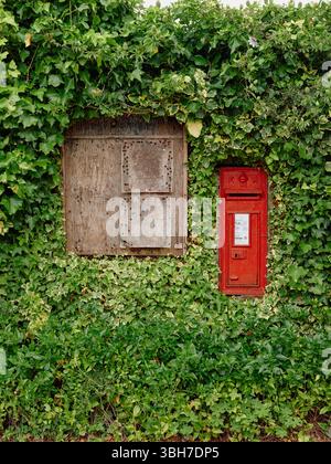 Ein ländliches Dorf, leere Pinnwand und roter Briefkasten von Royal Mail, eingerahmt von einer Ivy Hecke in Somerset England, Großbritannien Stockfoto