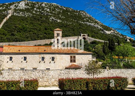Romanisches Franziskanerkloster St. Nikolaus in der historischen Festungsstadt Ston, Kroatien. Stockfoto
