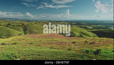 Wilde Pferde weiden auf einer farbenfrohen Wiese mit grünen Hügeln und blauem Meer am Horizont auf Sumba Island, Indonesien, einer idyllischen Landschaft, die von Drohnen erfasst wird Stockfoto