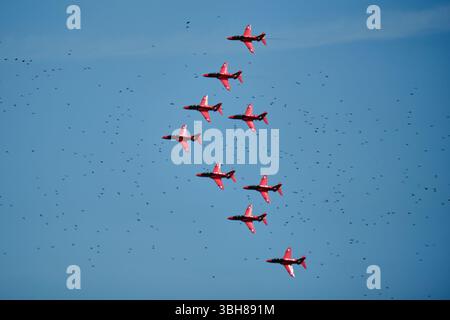Rote Pfeile Stockfoto