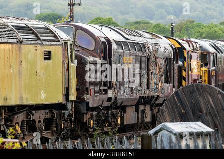 Nicht identifizierte Diesellokomotive der Baureihe 37 bei West Coast Railways, Carnforth. Samstag, 7. Juni 2025. Stockfoto