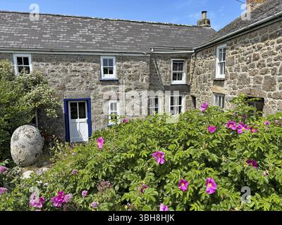 Traditionelle Steinhäuser mit rosa Gartenblumen unter blauem Himmel in ländlicher Umgebung, St. Agnes, Scilly-Inseln, Cornwall, England, Vereinigtes Königreich, E Stockfoto