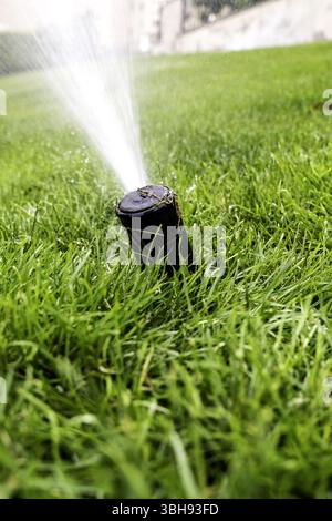Detail: Sprinklerwasser zur Bewässerung von Erntegut Stockfoto