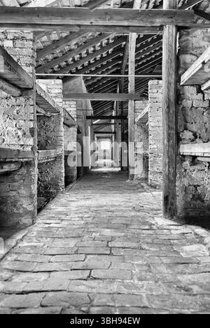 Schlafplätze in auschwitz birkenau in Polen Stockfoto