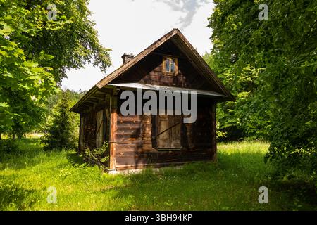 Eine kleine Holzhütte mit Fensterläden in einer grünen Waldlichtung in Wierszalin, Podlasie, Polen. Stockfoto