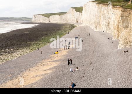 South Downs National Park, Großbritannien – 8. Juni 2025: Langer Blick auf den Strand zwischen weißen Kreidefelsen mit Wanderungen, dramatische Küstenlandschaft. Besucher können sich sonnen, die Wellen und die frische Meeresluft genießen und auf den malerischen Wanderwegen des South Downs National Park wandern. Credit: Xiu Bao/Alamy Live News. Stockfoto