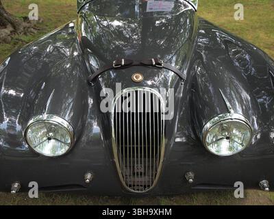 Britische Autodetails auf einer Oldtimer-Ausstellung in New Jersey. Details zeigen die Einzigartigkeit älterer Automobile, die bei heutigen Autos nicht zu finden sind. Stockfoto