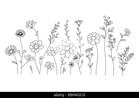 Elegante botanische Illustration zeigt eine Strichgrafik von verschiedenen Wildblumen auf weißem Hintergrund. Stock Vektor