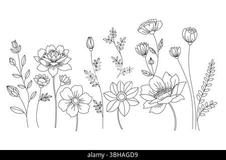 Elegante Blumenstriche mit verschiedenen Blumen und Blättern, die eine botanische Illustration Ästhetik schaffen. Stock Vektor