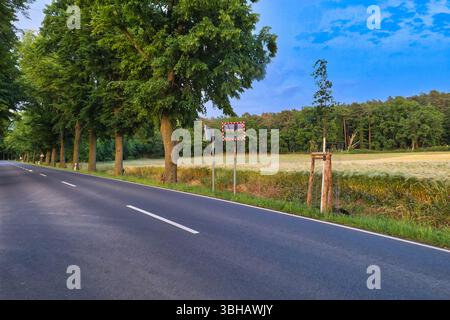Landstraße auf dem Lande Sommer brandenburg deutschland Stockfoto