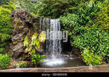 Wasserfall im Botanischen Garten von Singapur Stockfoto