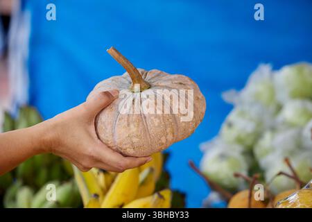 Nahaufnahme einer Frau, die Kürbis hält Stockfoto