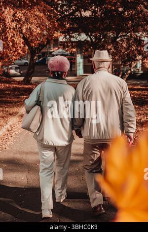 Älteres Ehepaar, das im Herbstpark spaziert. Ältere Ehepaare in leichten Jacken spazieren gemeinsam durch den friedlichen Herbstpark mit goldenem Laub. Konzept von Stockfoto
