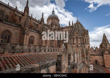 Architekturdetails auf dem Dach der Kathedrale Vieja Alte Kathedrale, Salamanca Stockfoto