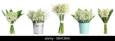 Aromatische Sträuße von Maiglöckchen isoliert auf weißer Collage Stockfoto