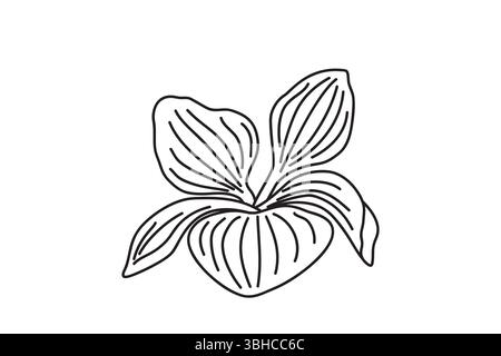 Botanische Blätter der Linienkunst isoliert auf weißem Hintergrund. Hand gezeichnete Umrisse Blätter Pflanze Vektor Illustration. Grafisches Designelement für Geburtstag Mi Stock Vektor