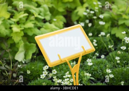 Gelbes Pflanzennamenschild in der Gärtnerei um verschiedene Sortenblüten. Nahaufnahme. Leerzeichen für Text. Stockfoto