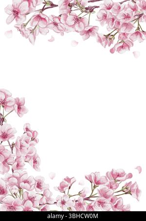 Kirschblütenrahmen. Kleine rosafarbene Sakura-Blüten und -Blüten. Kirschblüten-Festival-Vorlage und -Banner. Aquarellabbildung ohne Hintergrund Stockfoto