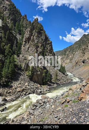 Pinien säumen ein ruhiges riverbend entlang eines felsigen Weges in den Bergen von Colorado. Stockfoto
