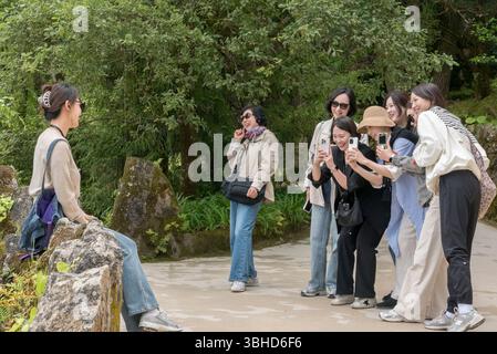 Japanische Touristen, die Fotos von einem ihrer Gruppen machen Stockfoto