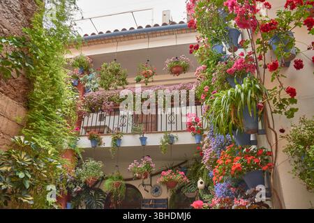 Traditionelle andalusische Terrasse mit Töpfen mit bunten Blumen wie Geranien, Petunien und Bougainvilleas, die die weiß getünchte Wand schmücken Stockfoto