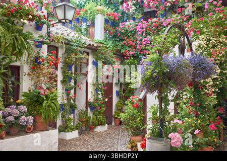 Traditionelle andalusische Terrasse mit Töpfen mit bunten Blumen wie Geranien, Petunien und Bougainvilleas, die die weiß getünchte Wand schmücken Stockfoto