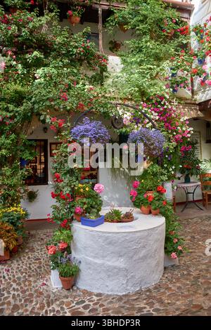 Traditionelle andalusische Terrasse mit Töpfen mit bunten Blumen wie Geranien, Petunien und Bougainvilleas, die die weiß getünchte Wand schmücken Stockfoto