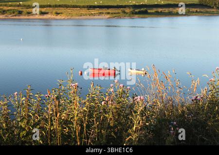 Zwei kleine Boote schweben ruhig auf einem ruhigen See, umgeben von Wildblumen Stockfoto