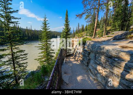 Athabasca Falls im Jasper National Park vor dem Waldbrand 2024 in Alberta, Kanada Stockfoto