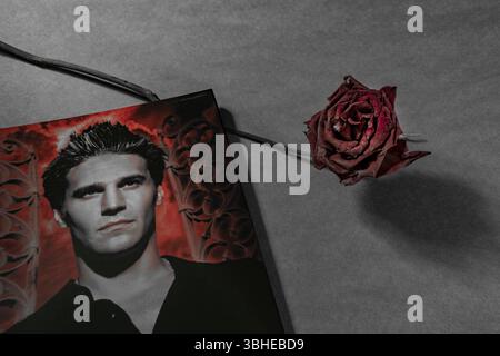 Ein Booklet mit Angel, einer fiktiven Figur aus Buffy der Vampirjägerin, mit einer roten Rose, isoliert auf einem dunklen, leeren Hintergrund. Stockfoto