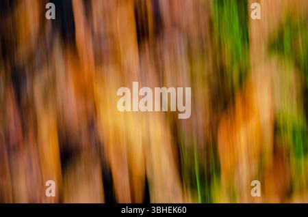 Verschwommener Bewegungshintergrund gemischter Herbstfarben Stockfoto
