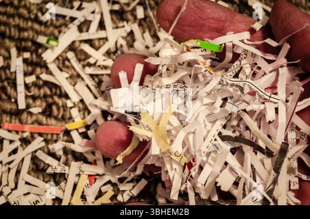 Nahaufnahme einer Handvoll Kreuzschlitzpapier Stockfoto