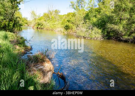 Der Bark River im Waukesha County, Wisconsin, fließt im Mai durch eine lebhafte grüne Landschaft, in der sich Bäume im klaren Wasser spiegeln. Stockfoto