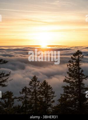 Während die Sonne anmutig über den flauschigen Wolken hinter den hohen Bäumen untergeht, verwandelt sich der Himmel in eine atemberaubende Farbenpracht Stockfoto