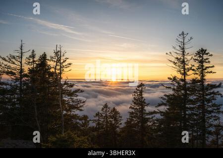 Während die Sonne anmutig über den flauschigen Wolken hinter den hohen Bäumen untergeht, verwandelt sich der Himmel in eine atemberaubende Farbenpracht Stockfoto