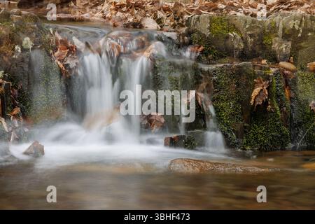 Ein kleiner Waldwasserfall fließt über moosige Felsen und Herbstblätter in einer friedlichen Waldlandschaft, mit sanften Wasserbewegungen und erdigen, natürlichen Texturen. Stockfoto