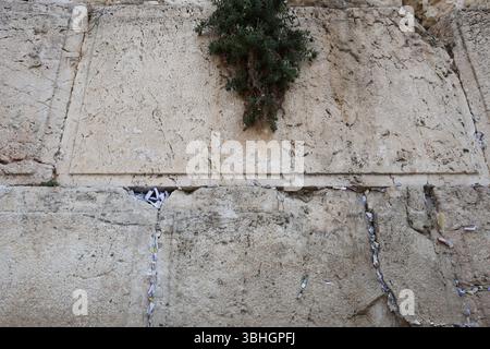 Notizen an der Westmauer in der Altstadt von Jerusalem am 22. Dezember 2024. Foto: Raquel G. Frohlich. Stockfoto
