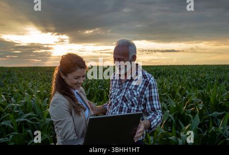 Junge schöne Geschäftsfrau und Senior Farmer auf dem Maisfeld, reden und benutzen Laptop Stockfoto
