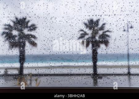 Regnerischer Tag, Blick durch das Fenster auf Palmen und Strand. Italien, Kalabrien, Scilla. Stockfoto
