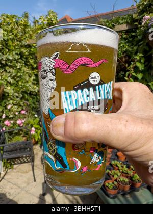 Mann männliche Hand hält volles Pint Glas Alpakalypse ipa Session Craft Bier sonnigen Pub Garten portsmouth england uk Stockfoto