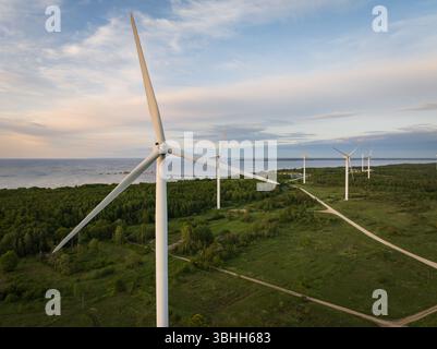 Drohnenansicht eines Windparks an der grünen Küste Estlands, der während des Sonnenuntergangs im Sommer saubere erneuerbare Energie erzeugt. Stockfoto