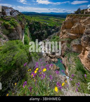 Blick auf das Tal von der Neuen Brücke in Ronda, Andalusien Spanien Stockfoto