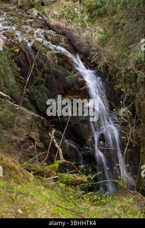 Eine wunderschöne Langzeitaufnahme eines Wasserfalls, der über moosige Felsen in einem Wald stürzt, mit einer friedlichen Atmosphäre. Stockfoto